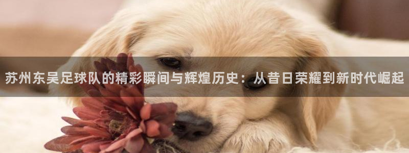  苏州东吴足球队的精彩瞬间与辉煌历史：从昔日荣耀到新时代崛起