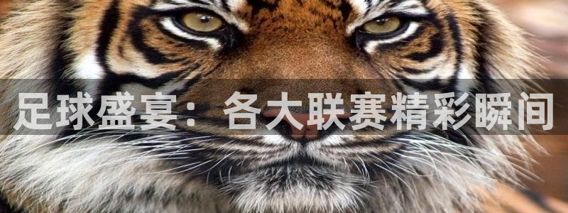 足球盛宴：各大联赛精彩瞬间