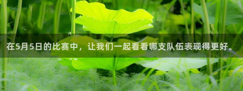  在5月5日的比赛中，让我们一起看看哪支队伍表现得更好。