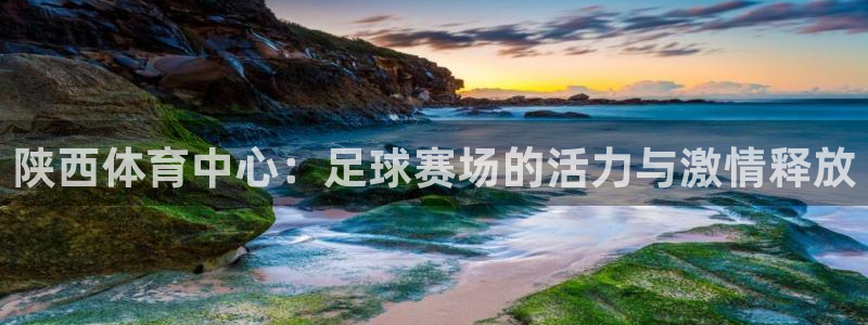  陕西体育中心：足球赛场的活力与激情释放