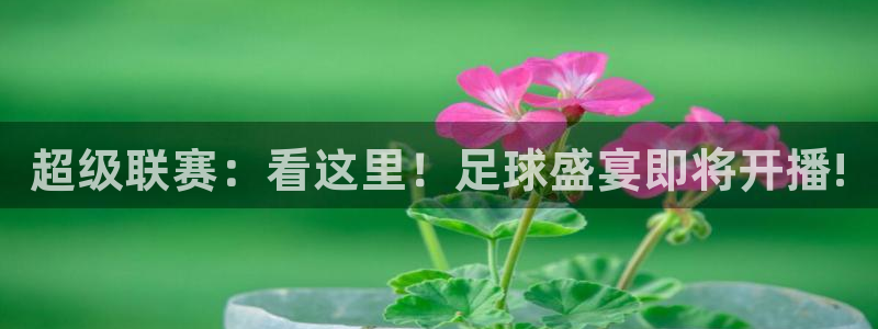  超级联赛：看这里！足球盛宴即将开播!