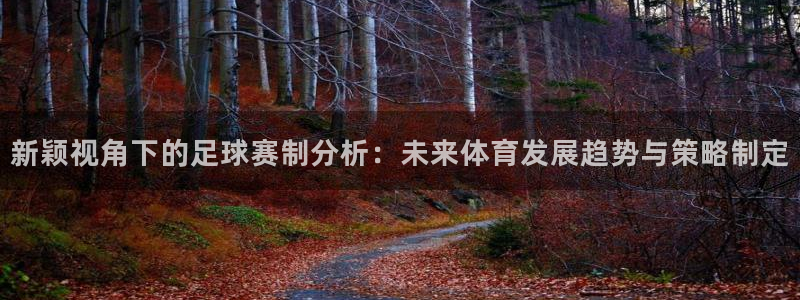  新颖视角下的足球赛制分析：未来体育发展趋势与策略制定