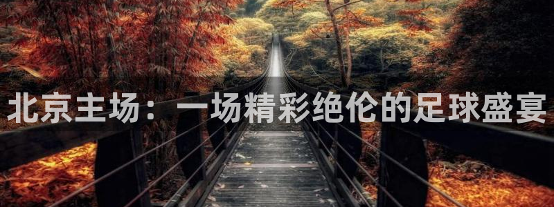  北京主场：一场精彩绝伦的足球盛宴
