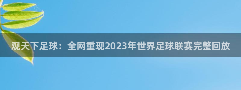  观天下足球：全网重现2023年世界足球联赛完整回放