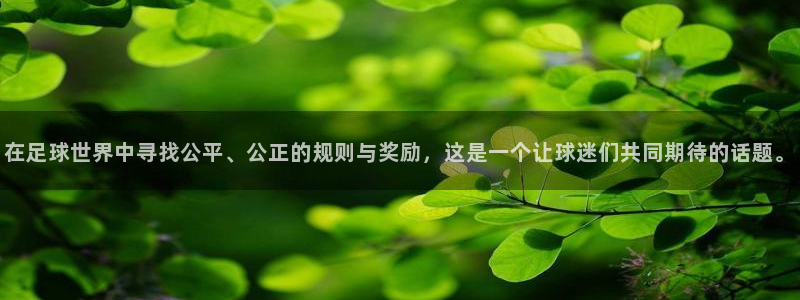 在足球世界中寻找公平、公正的规则与奖励，这是一个让球迷们共同