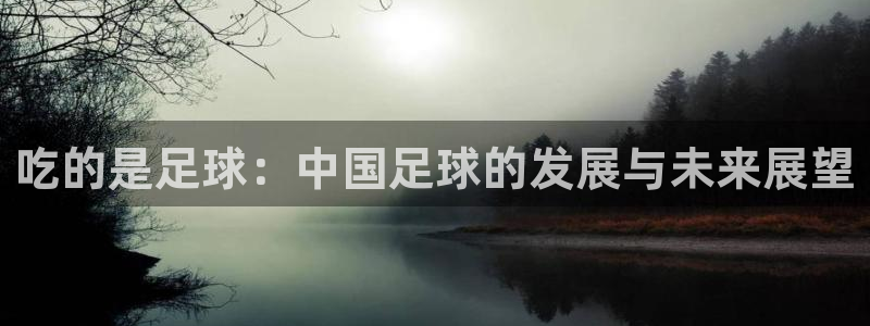 吃的是足球：中国足球的发展与未来展望