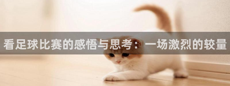 看足球比赛的感悟与思考:一场激烈的较量