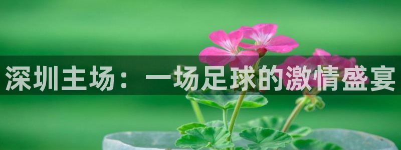  深圳主场：一场足球的激情盛宴