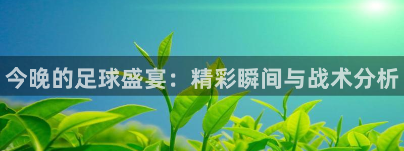 今晚的足球盛宴：精彩瞬间与战术分析