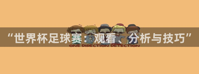 “世界杯足球赛：观看、分析与技巧”