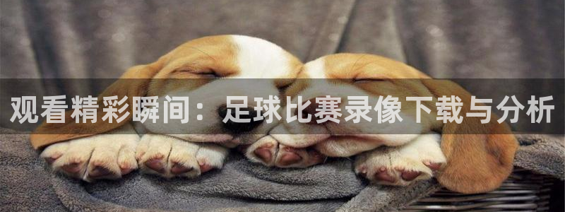 观看精彩瞬间：足球比赛录像下载与分析