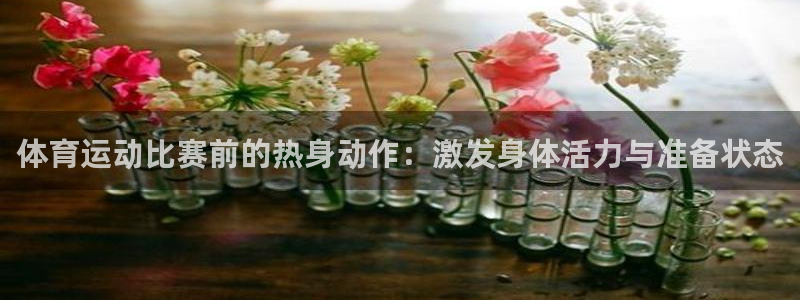米兰体育网页版：体育运动比赛前的热身动作：激发身体活力与准备状态