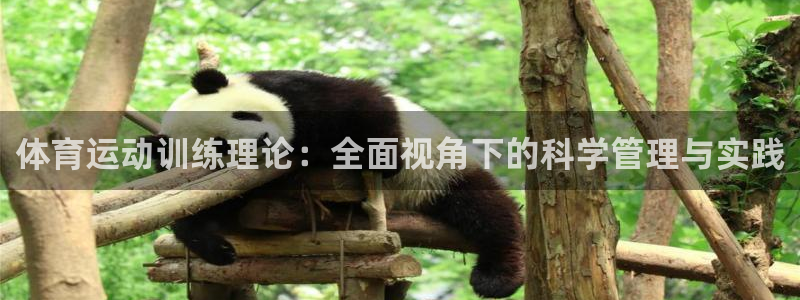 米兰体育网页版登录：体育运动训练理论：全面视角下的科学管理与实践