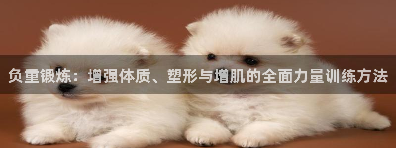 米兰体育场