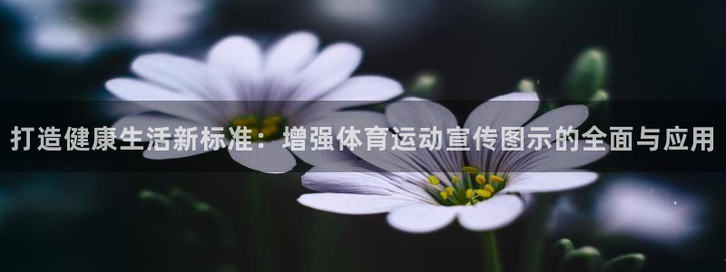 米兰体育平台：打造健康生活新标准：增强体育运动宣传图示的全面与应用