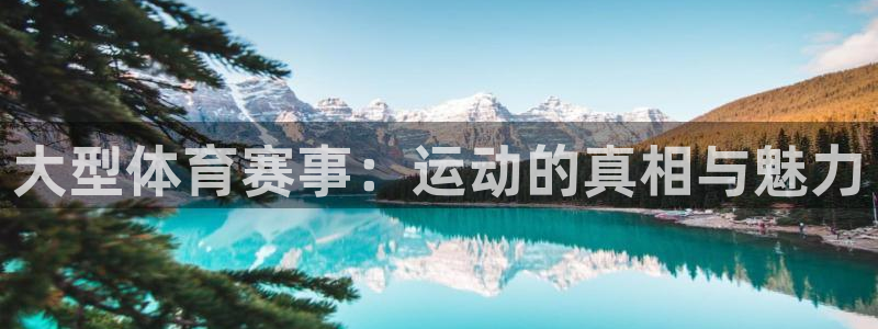 米兰体育官方下载入口：大型体育赛事：运动的真相与魅力
