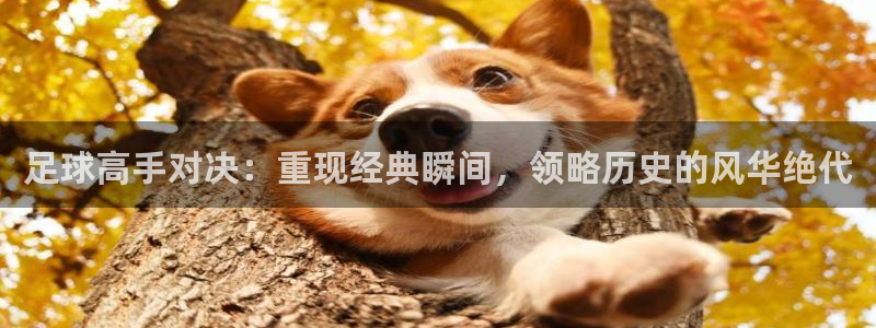 足球高手对决：重现经典瞬间，领略历史