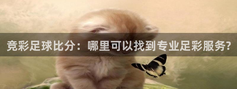 竞彩足球比分：哪里可以找到专业足彩服