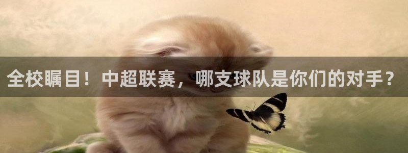 全校瞩目！中超联赛，哪支球队是你们的