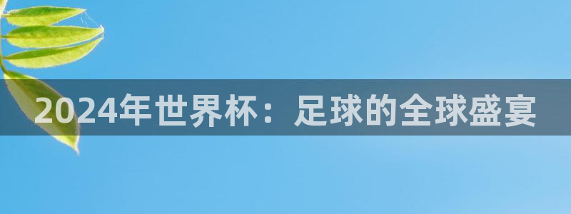 2024年世界杯：足球的全球盛宴