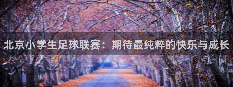 北京小学生足球联赛：期待最纯粹的快乐