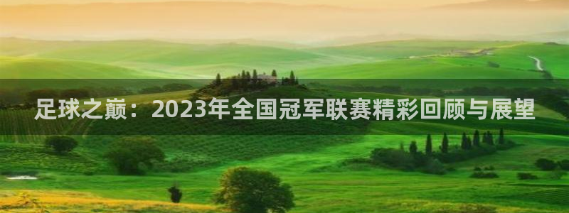 足球之巅：2023年全国冠军联赛精彩
