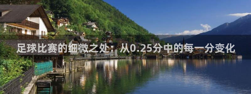 足球比赛的细微之处：从0.25分中的