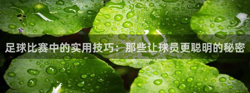 足球比赛中的实用技巧：那些让球员更聪