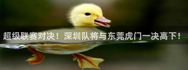 超级联赛对决！深圳队将与东莞虎门一决