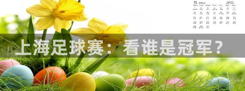 上海足球赛：看谁是冠军？